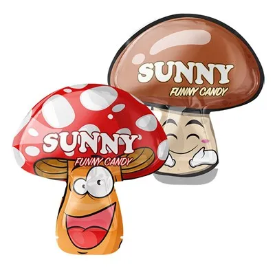 کیسه های مخصوص تنقلات