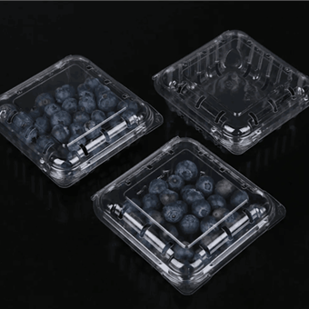 بسته بندی تاشو بلوبری جعبه بسته بندی میوه تازه برش خورده بسته بندی میوه بسته بندی ظروف میوه تاشو بلوبری